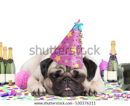 cute pug puppy dog wearing pink party hat, lying down on colorful confetti, fed up and drunk on champagne, tired of partying, on white background