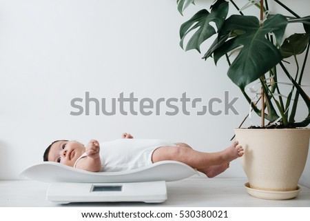 Happy dark hair newborn baby weighting on the white scales in front of white wall background with the green plant next to it.