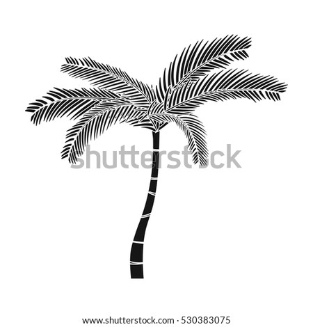 Mexican fan palm icon in black style isolated on white background. Mexico country symbol stock vector illustration.