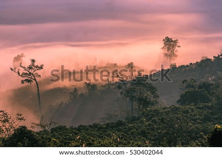 Phu Langka National Park, the landscape of misty mountains and at Sunrise, Phayao Thailand