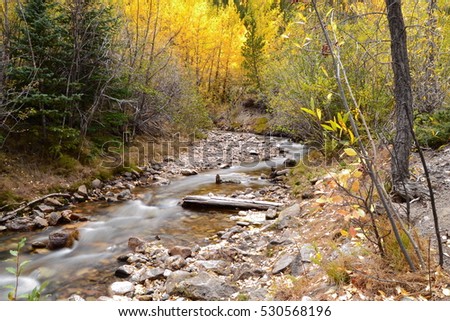 Small soft gentle creek with rocks in Colorado mountains on a fall day with yellow aspen trees