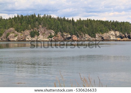 Fundy Bay Atlantic Ocean, New Brunswick multimillion years geological structures differ from clay form by volcanic ash to lava rocks like on picture of Campobello Island coastline with pine trees
