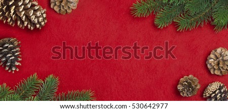 Branch of Christmas tree and cones on a red background