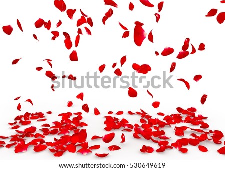 Rose petals fall to the floor. Isolated background Royalty-Free Stock Photo #530649619