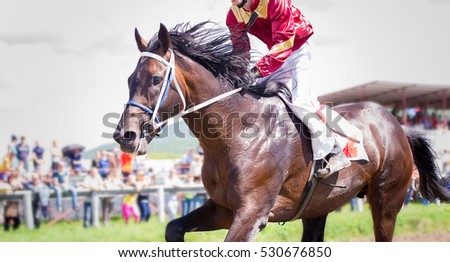 racing horse portrait in action on competition Royalty-Free Stock Photo #530676850