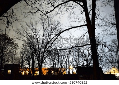 high exposure picture of trees at night with sky being lit in background by a supermoon. 