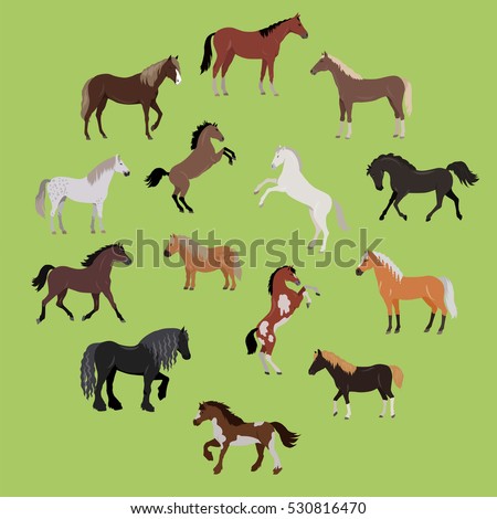 Illustration of different breeds of horses. Various color horses. Horse icon set. Set of horses in action: stand, run, jump, go. Horseback riding. Isolated vector illustration on green background.