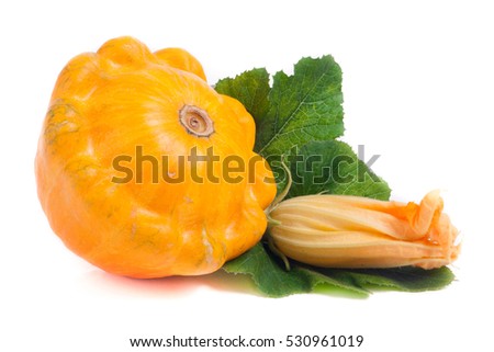yellow pattypan squash with leaf and flower isolated on white background