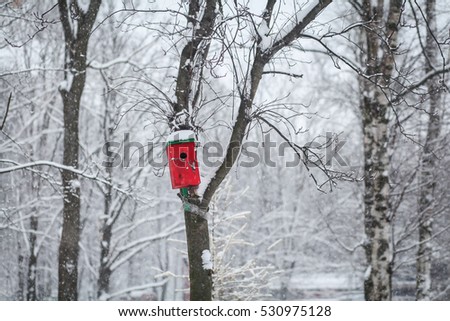 red birdhouse in the winter forest