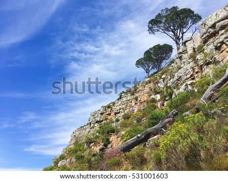 On the way to on top of Lion's Head looking with cloud and navy blue sky background, rock mountain, Cape Town, South Africa