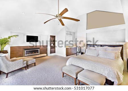 Modern bed area including furniture, television is attached to wall, one chair close to flower pot, fan can see on ceiling, lamp table near wall, perfect lights balancing, very clean area. Royalty-Free Stock Photo #531017077