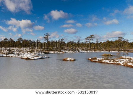 swamp lake in winter