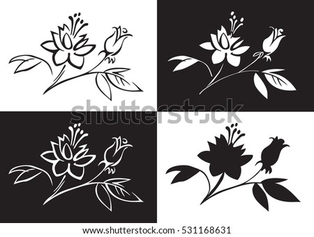 flower rose pattern on white and black background and the contour