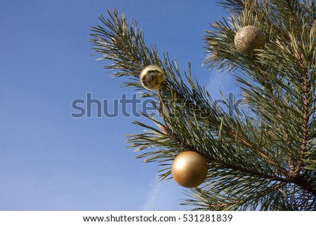 Christmas decorations on the pine branch on a background of blue sky and pine forest. The left  side of the frame for the vacant title.