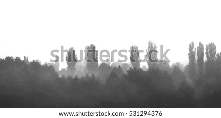  thick fog falling on autumn landscape photo for micro-stock