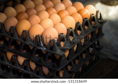 Soft focus, Eggs from a chicken farm in the package retained to sell the morning light