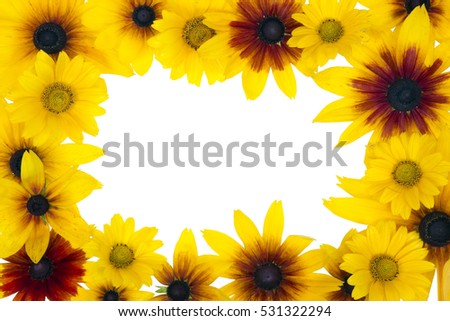 Simple isolated July mini sunflowers photo frame concept