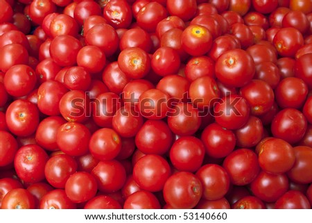 Many tomatoes background