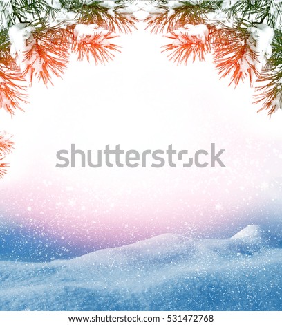  forest in the frost. Winter landscape. Snow covered trees. Christmas background.