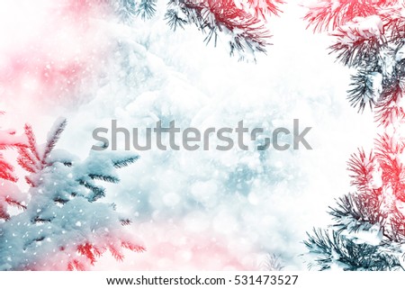  forest in the frost. Winter landscape. Snow covered trees. Christmas background.