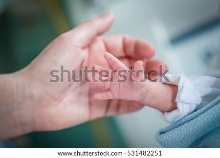 Premature baby in an incubator chamber reaching for his mother's hand Royalty-Free Stock Photo #531482251