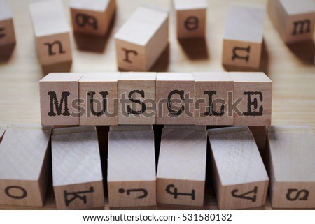 Muscle Word In Wooden Cube