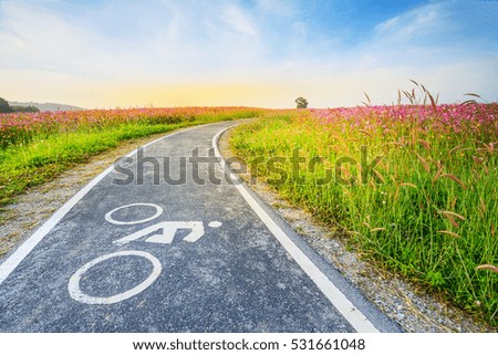 Bicycle sign on route in cosmos flower field.
