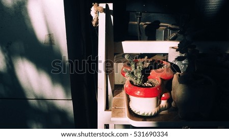 Close up cactus flower plant in small red vase. Shadow in dirty concrete wall, old and vintage nature background