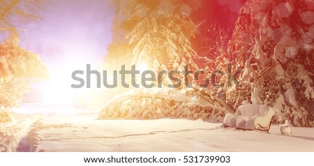 amazing winter view.  Winter scenery, snow covered  frosty trees in a night city park . retro style. instagram toning. soft light effect.  picturesque christmas background.
