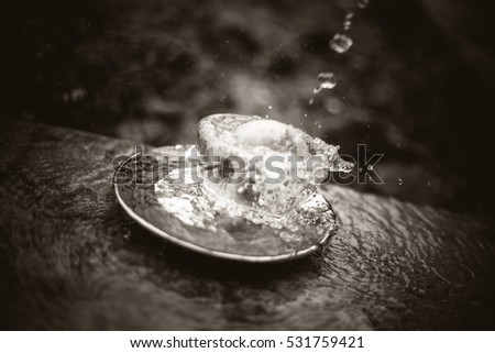 apples in the water stream with splashes standing on the glass outdoors
