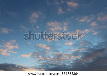 Beautiful sunrise over the city skyline in winter with clouds and trees and buildings and birds flying 