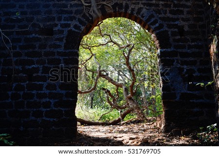 Tree view through the gate in abandoned Redi fort in Maharashtra, India.