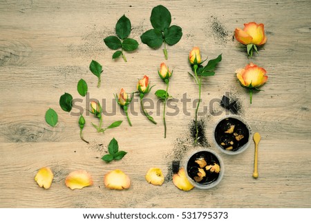 top view ; flat lay flowers and food in wooden ; spring background