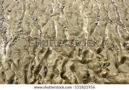 Eroded chalk (Calcium Carbonate) seabed with small rock pools and pebbles. Near Brighton, East Sussex, England