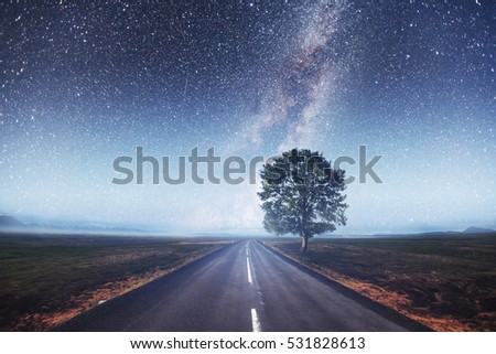 Asphalt road and lonely tree under a starry night sky and the Milky Way.