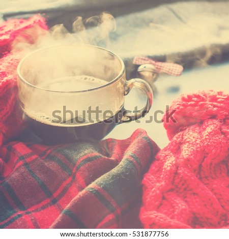 Tea Cup Hot Steam Tea Window Winter Autumn Time Christmas New Year Tinted Toned Photo Knitting Red Thing