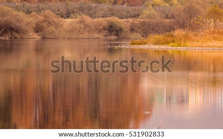 Landscape of a calm river winding around a riverbank with grasses and trees in the background