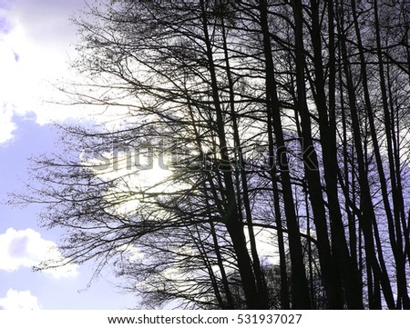 
      beautiful scenery and autumn elements with views of the nature of the photos micro-stock