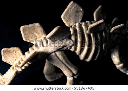 dinosaur skeleton isolated on black background. Dark tone picture style with free space for texting.
