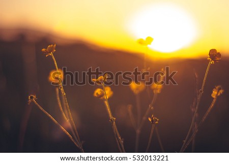 Summer sunset/Abstract background