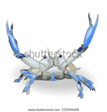 crab isolated white background