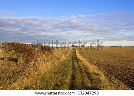 a country bridleway and footpath with hawthorn hedgerows in a yorkshire wolds landscape under a blue sky with cloud patterns in autumn
