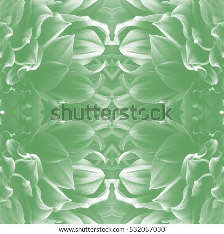 Seamless pattern made of dahlia petals picture green color