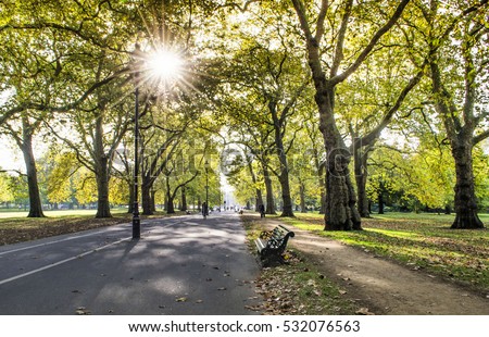 Sunny autumn day in the park. Hyde Park, London. Royalty-Free Stock Photo #532076563