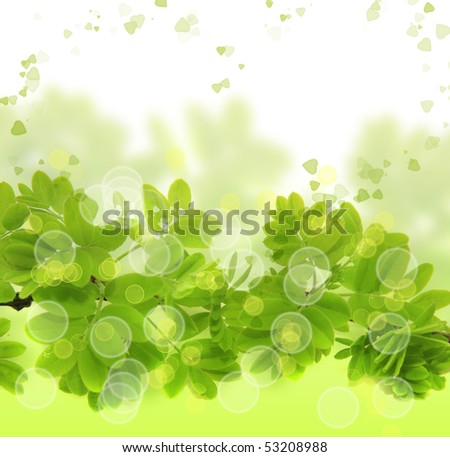 fresh green leaves border on white background