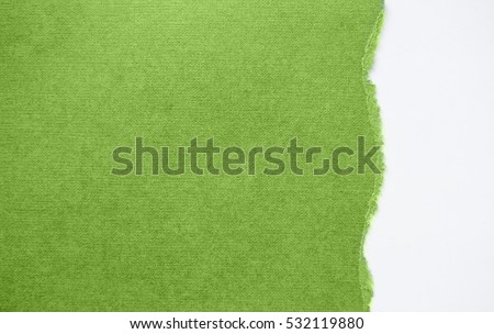 torn sheet of paper on a white background  in colors of the year 2017 GREENERY pantone Royalty-Free Stock Photo #532119880