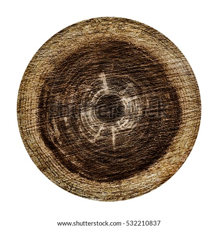 Rough wood texture isolated on the white background. Round cut down tree with annual rings.