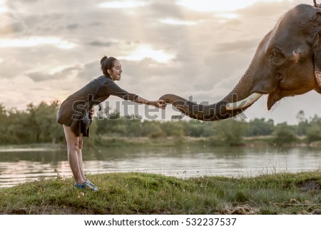 A cure girl softly touching the trunk of the elephant . Showing the lovely moment between human and elephant. Royalty-Free Stock Photo #532237537