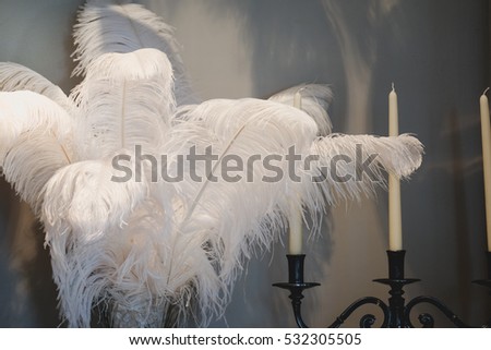 white bird feather decoration with the lamp and photo frame in the room
