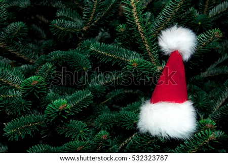 Santa hat on the Christmas tree for Christmas and New year season picture